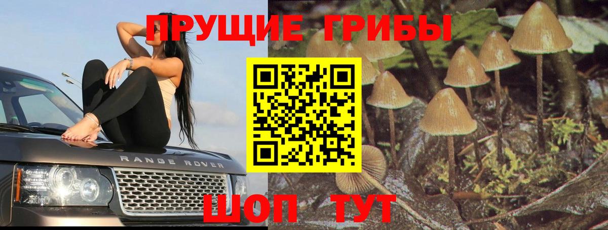 Псилоцибиновые грибы мухоморы  Вход с VPN  Феодосия 